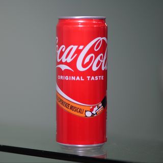 Coca-Cola Lattina 330 ml