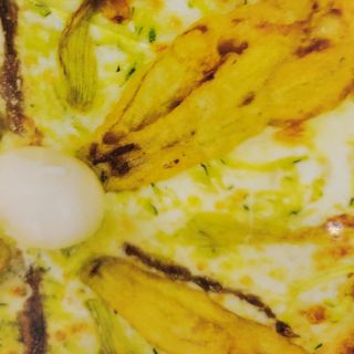 Fiori di zucca singola