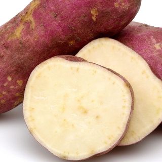 Patata dolce Bianca