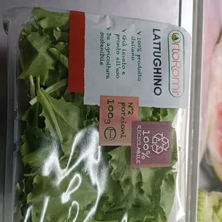 Lattughino