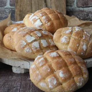 Panini