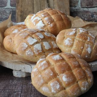 Panini