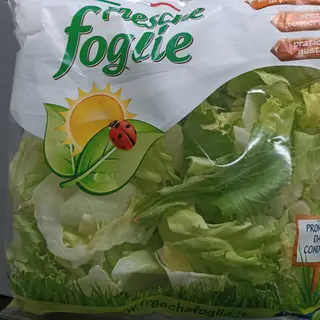 Insalata iceberg