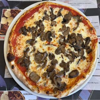 Funghi