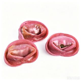 53 Gyuniku Gyoza