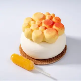 Tropical Cheesecake