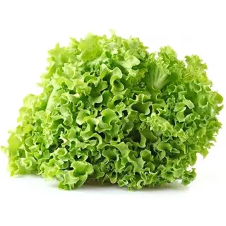 Insalata gentile