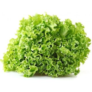 Insalata gentile