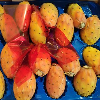Fichi D'india