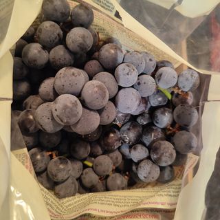 Uva fragola
