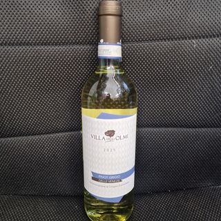 PINOT GRIGIO DELLE VENEZIE