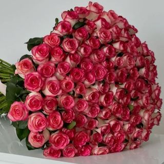 100 Pink Roses