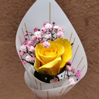 Single Yellow Rose
