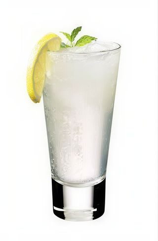 Gin Fizz
