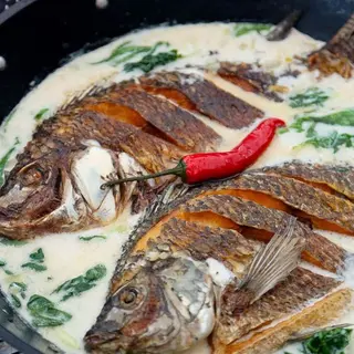 Coconut tilapia (plain)