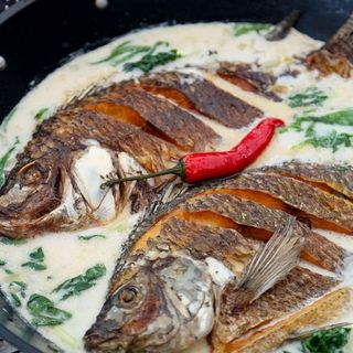 Coconut tilapia (plain)