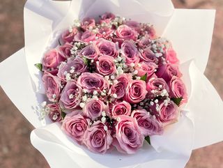 Adoration Pink