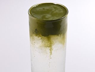 Matcha Coco Cloud Foam