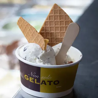 Gelato 2 scoops