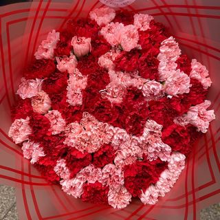 Carnations heaven