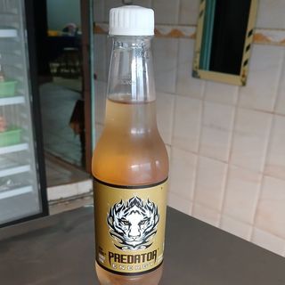 Predator Energy