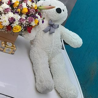 Teddy Bear 60Cm