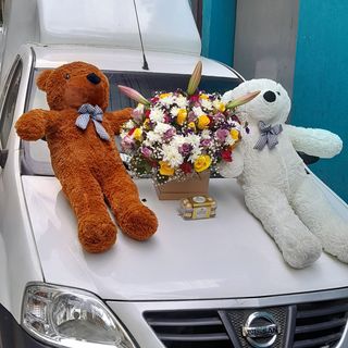 Twin teddybears gift 