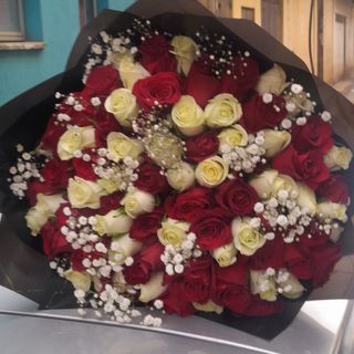 80 stems mix red and white roses