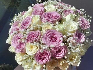 Purple and white box arrangement