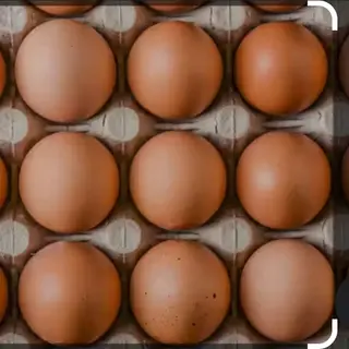 Eggs