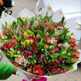 Tropical mixed colours