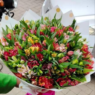 Tropical mixed colours