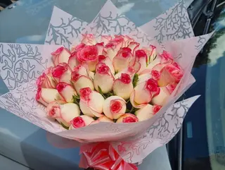 Pink blossoms