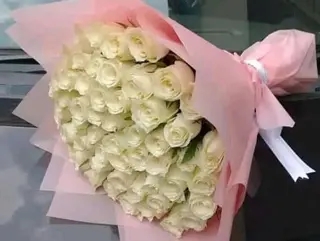 All.white