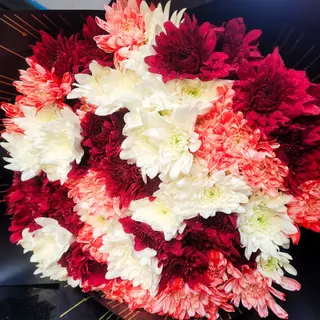 Tropical red