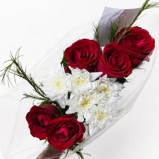 XOXO Blooms