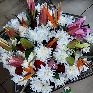 Royal Blossom