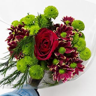 Ambience Floral