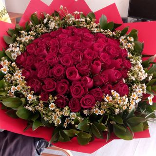 Amazing red and green