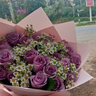 Purple roses