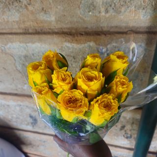 Yellow Roses
