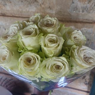 10 stems White rose