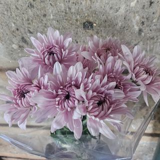 2 stems Pink mum's