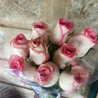 10 stems Double color pink