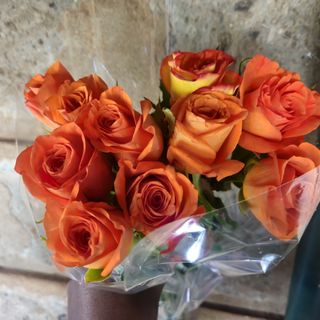 10 stems Orange Rose
