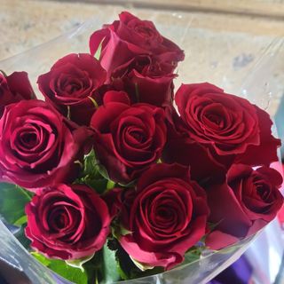 10 stems.Red roses