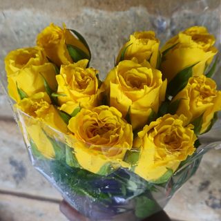 10 stems Yellow roses