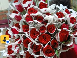 Roses