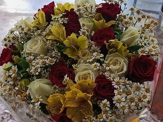 Sunshine flowers
