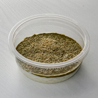 Pistachio Rice Pudding